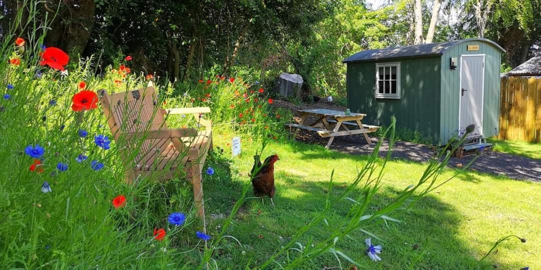 Wooler Hostel And Shepherds Huts מראה חיצוני תמונה
